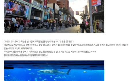 송정화 참좋은.jpeg